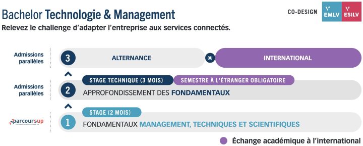 Bachelor emlv 720x289 - Bachelor Technologie & Management